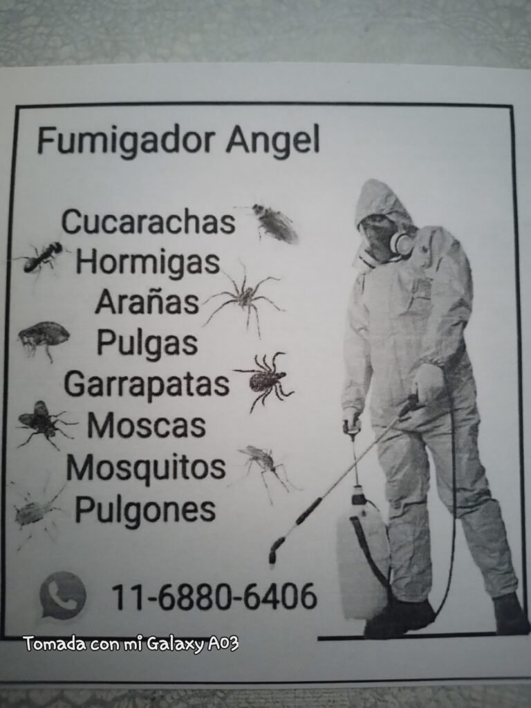 Psicologo social/AT/ vigilancia