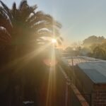 Albañilería  , pintura , electricidad ,plomeria y mantenimiento en general