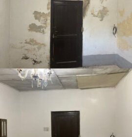 Pintura en general y revestimientos