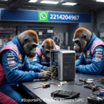 Infotecnicolp