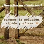 Alambrando Patria