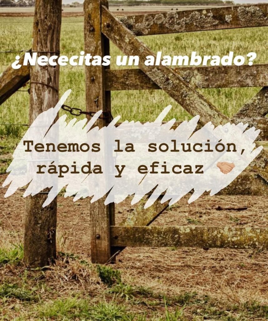 Alambrando Patria
