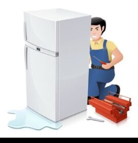 Refrigeración y electricista