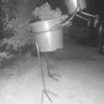 Venta y colocación de cestos para la basura nuevos y a medida