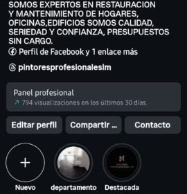 PintoresprofesionalesLM