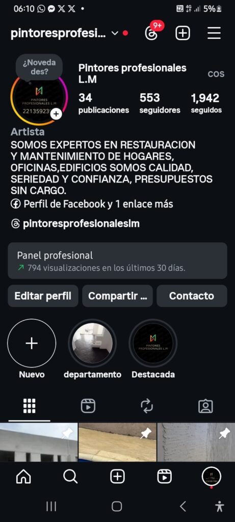 PintoresprofesionalesLM