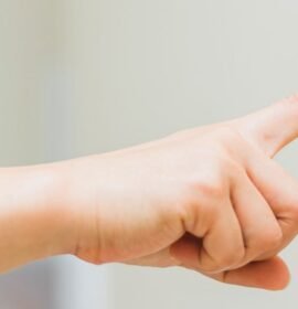 Servicios Profesionales LP