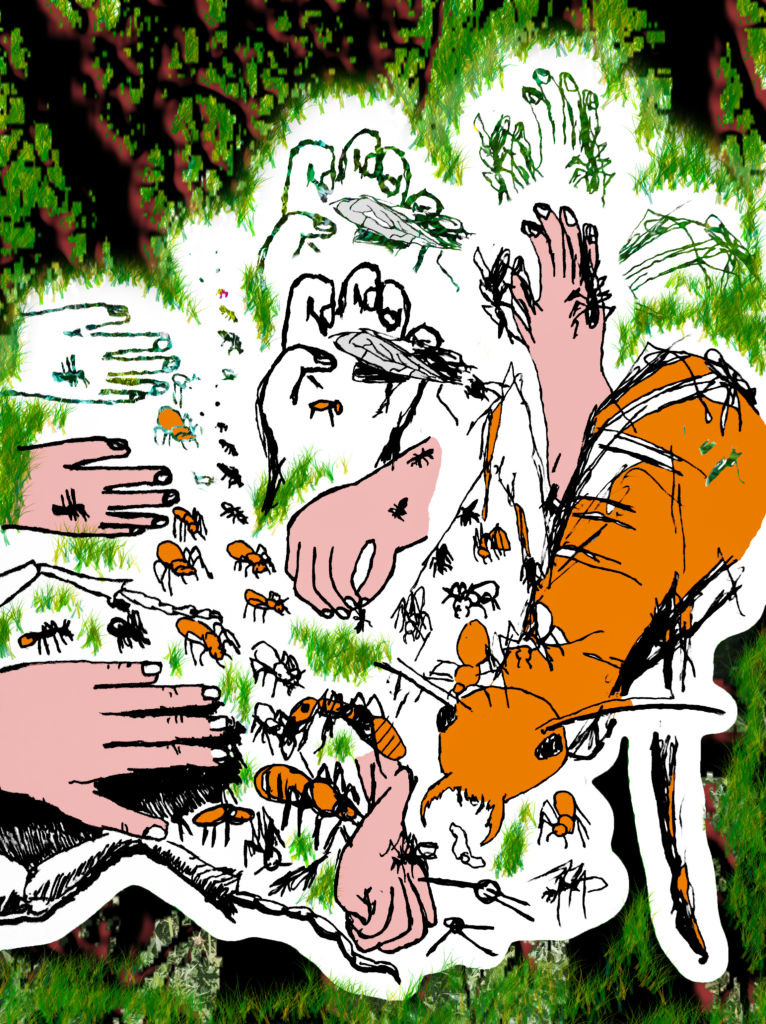 Diseño e Ilustración
