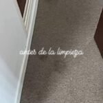 LIMPIEZA DE ALFOMBRAS, SILLONES, COLCHONES, TAPIZADO DE VEHICULOS A DOMICILIO