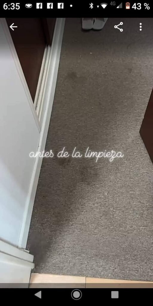 LIMPIEZA DE ALFOMBRAS, SILLONES, COLCHONES, TAPIZADO DE VEHICULOS A DOMICILIO