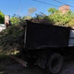 Jardinería Integral Alfonso