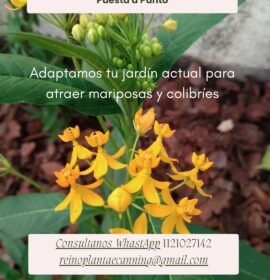 Jardines de mariposas y colibries