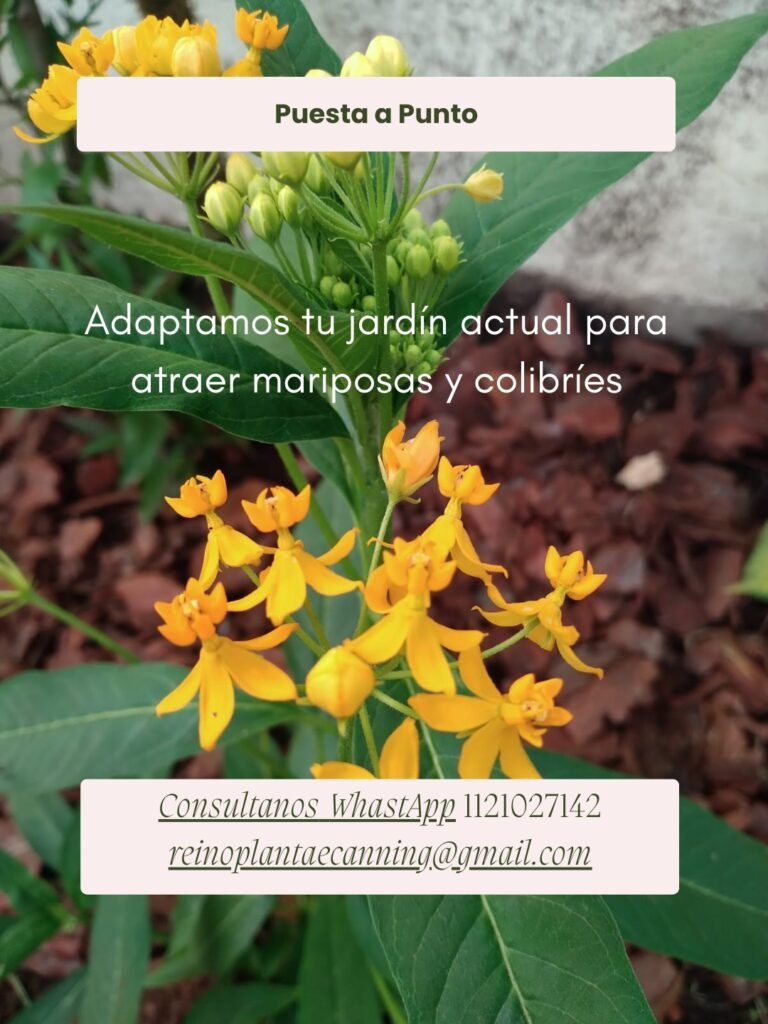 Jardines de mariposas y colibries