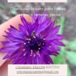 Jardines de mariposas y colibries