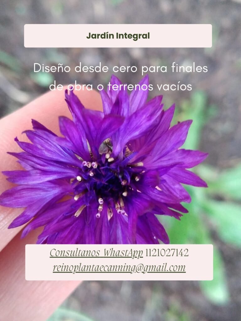 Jardines de mariposas y colibries