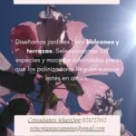 Jardines de mariposas y colibries