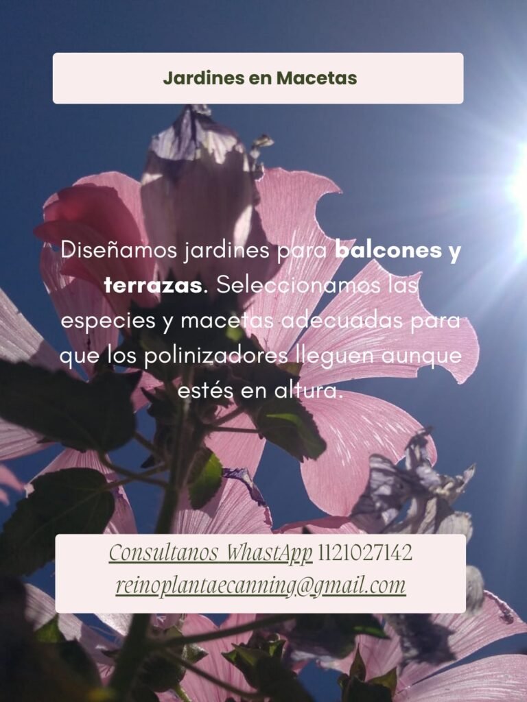 Jardines de mariposas y colibries