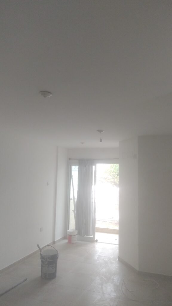 Pintor de obra