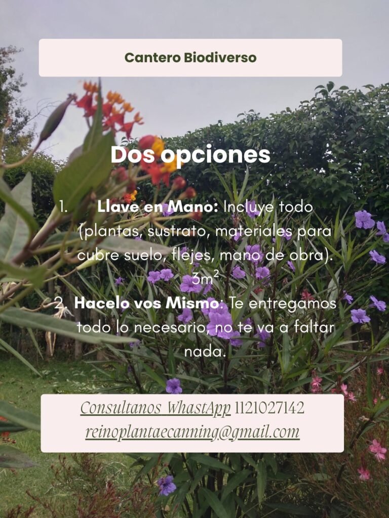 Jardines de mariposas y colibries