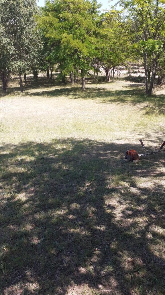 Reparación de motoimplemento,jardinería y todo lo que tenga que ver con áreas verdes