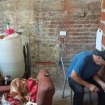 Mantenimiento general