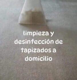 LIMPIEZA DE ALFOMBRAS, SILLONES, COLCHONES, TAPIZADO DE VEHICULOS A DOMICILIO