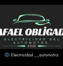 Electricidad del automotor