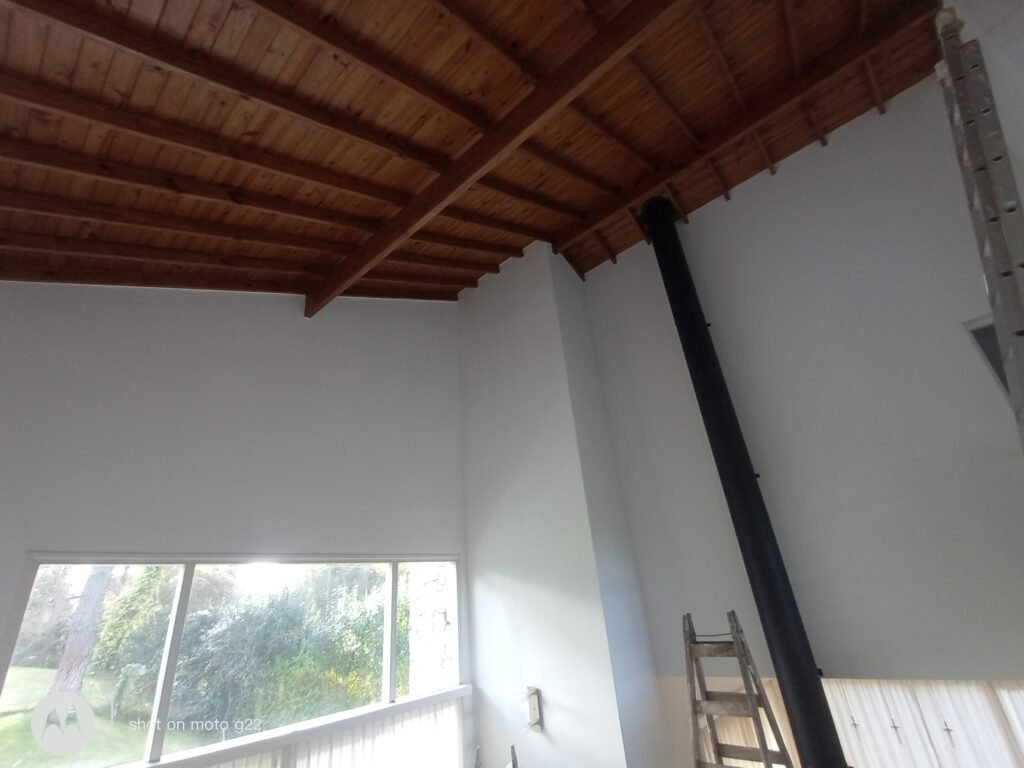 Pintor oficial durklero