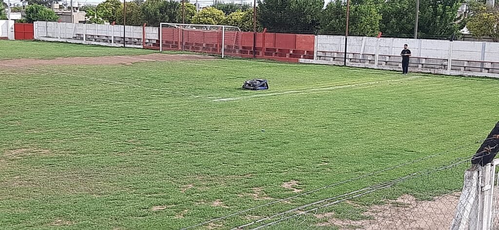 Servicio de corte de césped con m