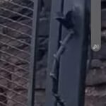 Herrería artesanal la era del hierro