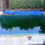 Pintura y mantenimiento de piscina .impermevilizaciones