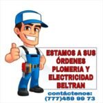 Electriwod