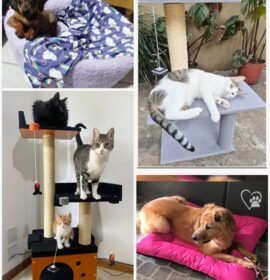 Fabricantes en Madera