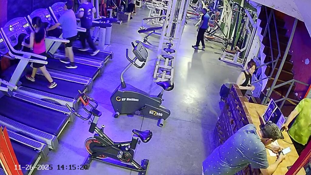 Seguridad electrónica