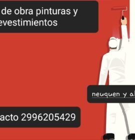 Pintor de obra , casas, salones etc