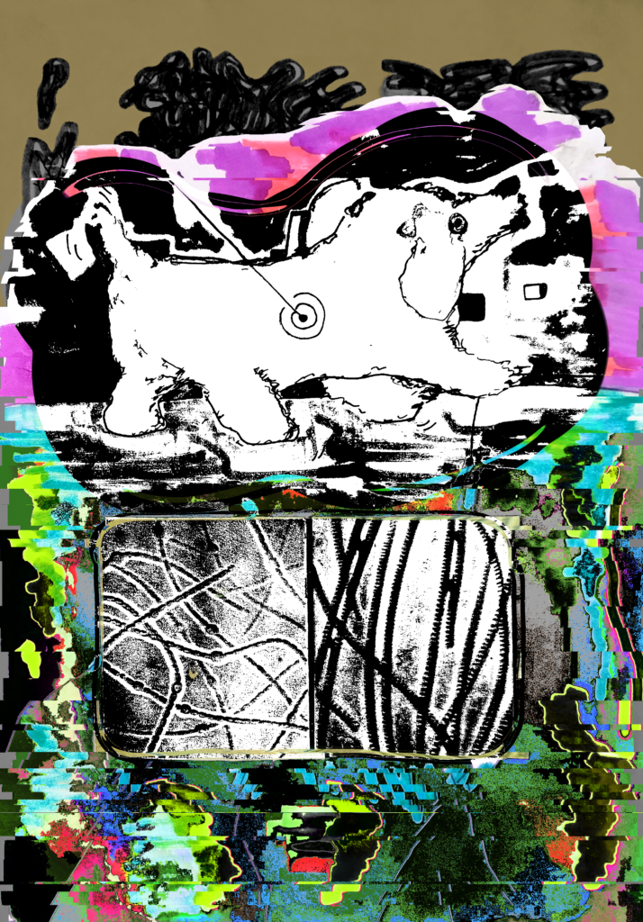 Diseño e Ilustración