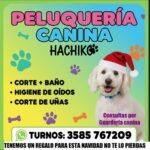 PELUQUERIA CANINA “HACHIKO” RIO CUARTO