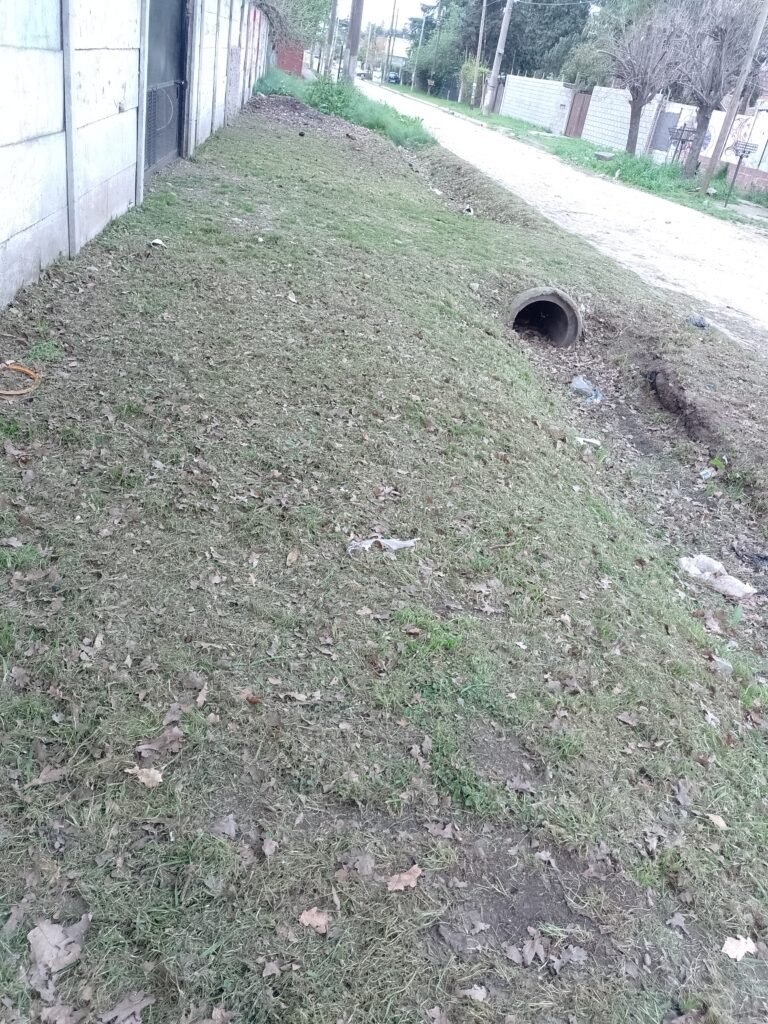 Jardinero