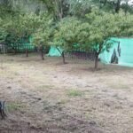 Mantenimiento de espacios verdes jardineria