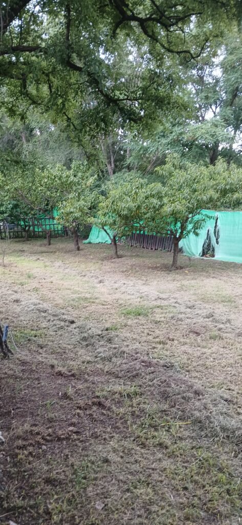 Mantenimiento de espacios verdes