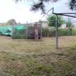 Mantenimiento de espacios verdes jardineria