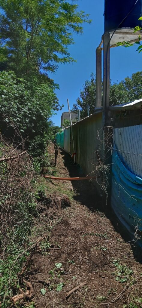 Mantenimiento de espacios verdes
