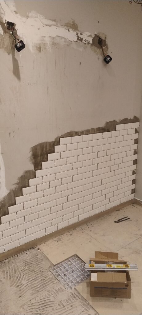 Pintura y albañilería en general y plomería