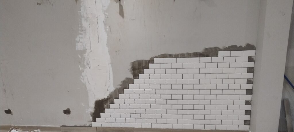 Pintura y albañilería en general y plomería