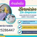 Servicio domestico