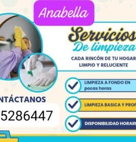 Servicio domestico