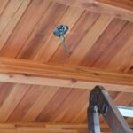 Electricidad y refrigeracion