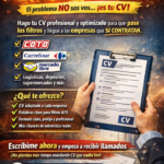 Currículum Profesional