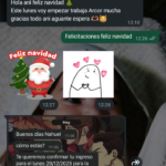 Currículum Profesional