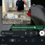 Currículum Profesional